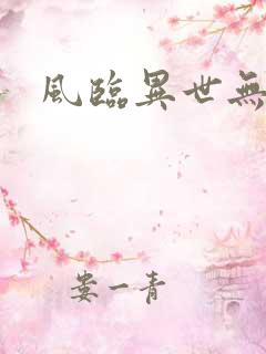 风临异世无弹窗