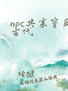npc共享宝贝古代