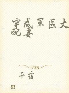 穿成军区大佬女配妻