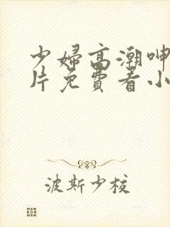 少妇高潮呻吟A片免费看小说