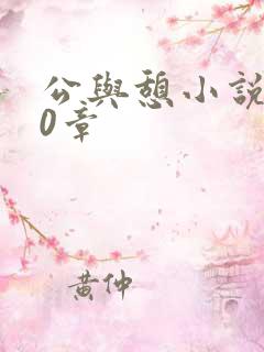 公与憩小说400章