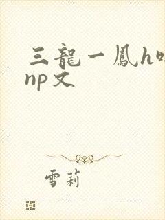 三龙一凤h啪肉np文