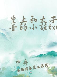 皇上和太子妃沈音的小说txt