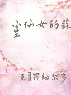 小仙女的苏撩先生