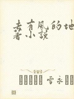 去有风的地方原著小说
