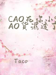 CAO死你小SAO货湿透了学长