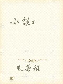 小说x