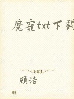 魔宠txt下载