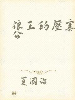 狼王的压寨小相公