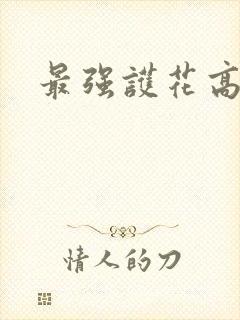 最强护花高手