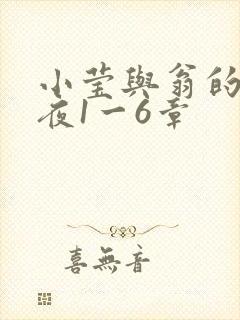 小莹与翁的销魂夜1一6章