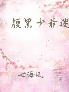 腹黑少爷迷糊妻