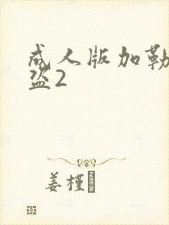 成人版加勒比海盗2