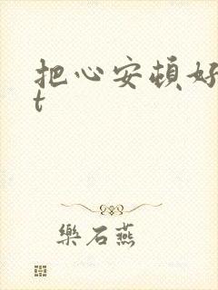 把心安顿好txt