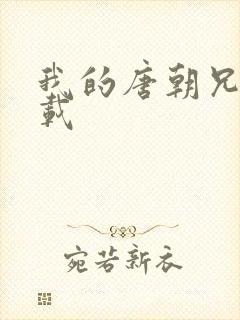 我的唐朝兄弟下载