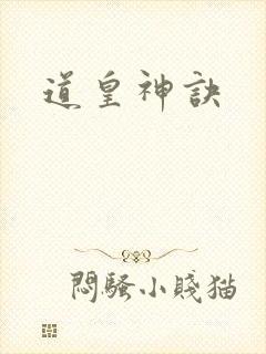 道皇神诀