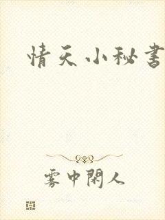 情天小秘书