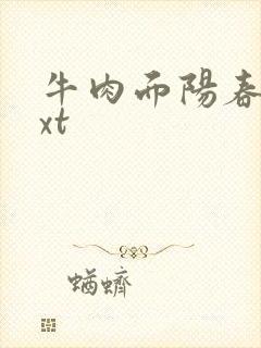 牛肉面阳春面txt