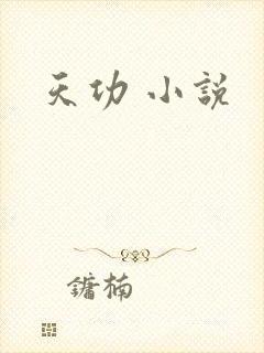 天功 小说