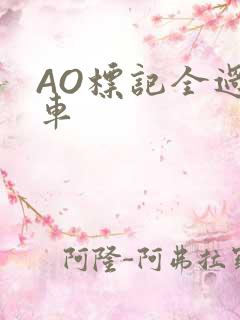 AO标记全过程车