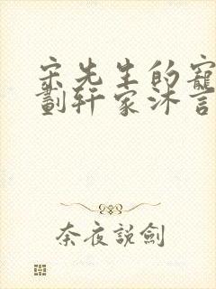 宋先生的宠妻计划轩家沐言