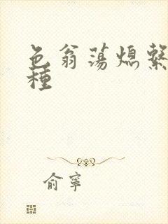 色翁荡熄系列借种