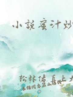 小说蜜汁炒鱿鱼