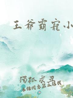 王爷霸宠小甜妻