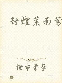 封煜叶南莺小说