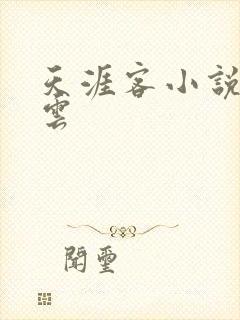 天涯客小说百度云