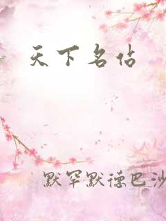 天下名站