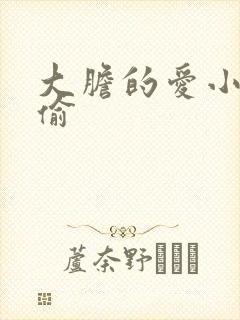 大胆的爱小心的偷