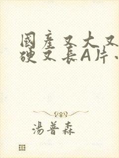 国产又大又粗又硬又长A片小说