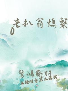 老扒翁熄系列40