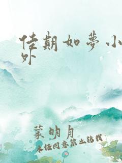 佳期如梦小说番外