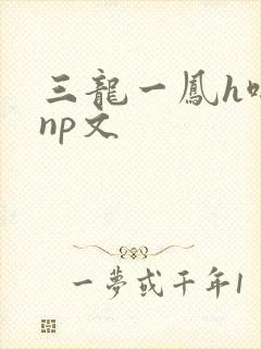 三龙一凤h啪肉np文