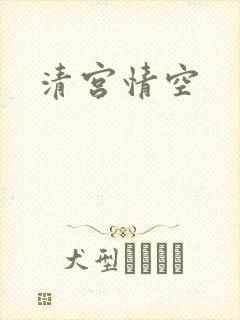 清宫情空
