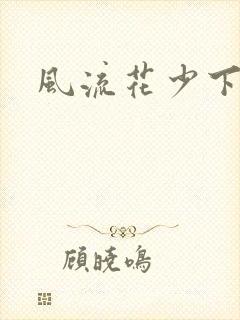 风流花少下载