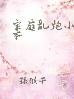 家庭乱炮小说全本