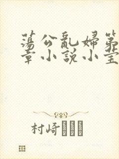 荡公乱妇第51章小说小莹