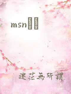 msnС˵