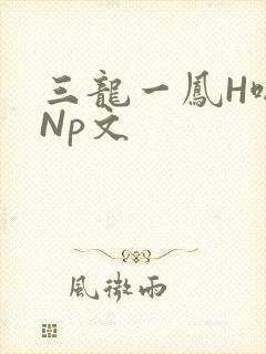 三龙一凤H啪肉Np文