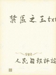 禁区之王txt