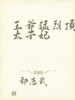 王爷猛烈顶弄H太子妃