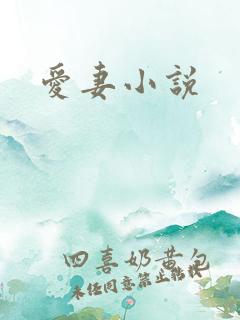 爱妻小说