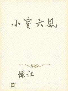 小宝六凤