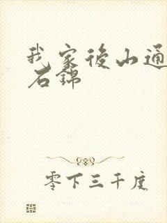 我家后山通仙界石锦