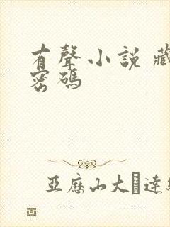 有声小说 藏地密码