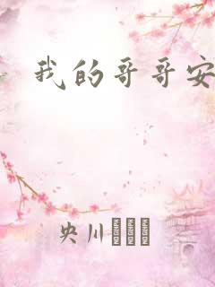 我的哥哥安小天