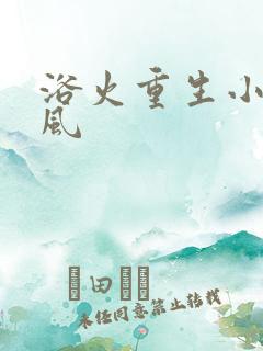 浴火重生小说陈风